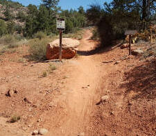 Begining of Ridge Trail Healding North