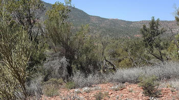 View from the Ridge Trail -2