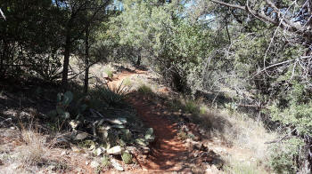 Wooded area