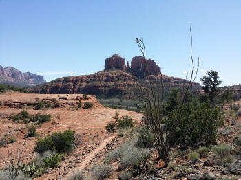 View from Ridge Trail Overlook - 2