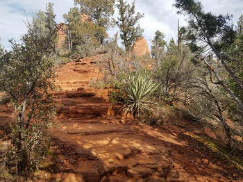 Soldier Pass Trail - 10