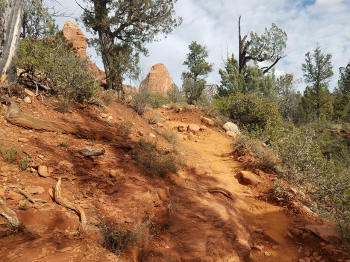 Soldier Pass Trail - 12