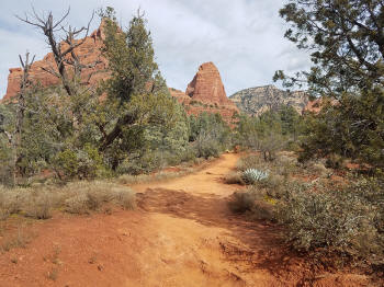 Soldier Pass Trail - 14