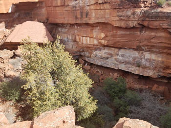 Devil's Kitchen Sinkhole - 3