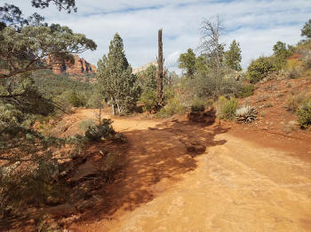 Soldier Pass Jeep Trail