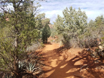 Soldier Pass Trail - Sacred Pools - 15