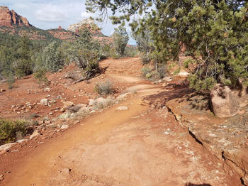 Soldier Pass Trail - Sacred Pools 5