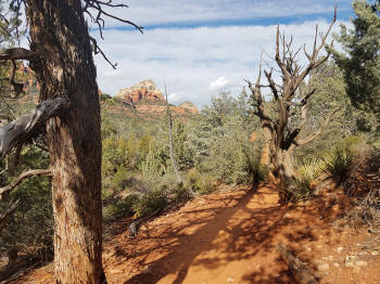 Soldier Pass Trail - Seven Sacred Pools - 8