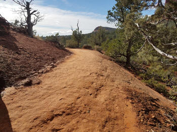 Solider Ridge Trail - Heading South 4