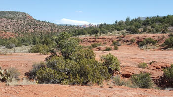 View of the second half of the Ridge Trail