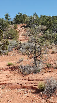Path Continues up the hlll