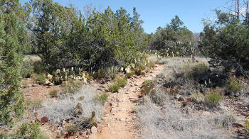 Secret Slick Rock Trail - 1