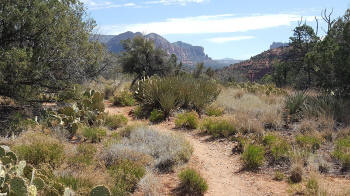 Secret Slick Rock Trail - 2
