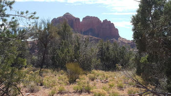 Secret Slick Rock Trail - 5