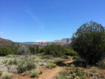 Secret Slick Rock Trail - 6