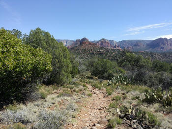 Secret Slickrock Trail - 10