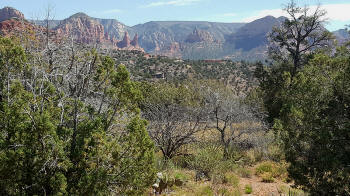 Secret Slickrock Trail - 12