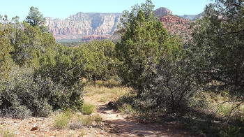 Secret Slickrock Trail - 13