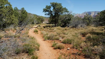  Secret Slickrock Trail - 14