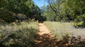Baldwin Trail Leading to Oak Creek Crossing and Crescent Moon Ranch and Picnic Are3