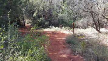 Baldwin Trail Leading to Oak Creek Crossing and Crescent Moon Ranch and Picnic Are4