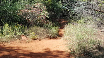 Side Trail Leading to Oak Creek Crossing