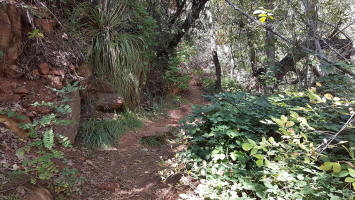 Side Trail - Oak Creek Crossing - Picture 1