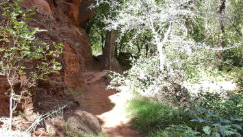 Side Trail - Oak Creek Crossing - Picture 2