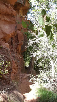 Side Trail - Oak Creek Crossing - Picture 3