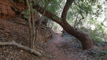Side Trail - Oak Creek Crossing - Picture 4