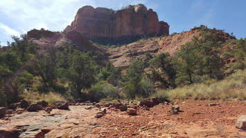 Looking up at Cathedral Rock