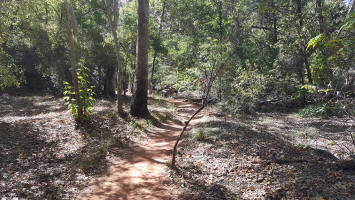 Oak Creek Valley Floor - Picture 8