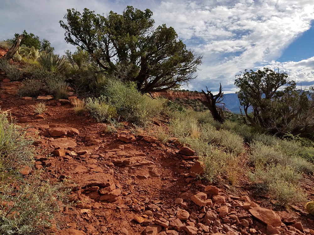 01BearMountainView820