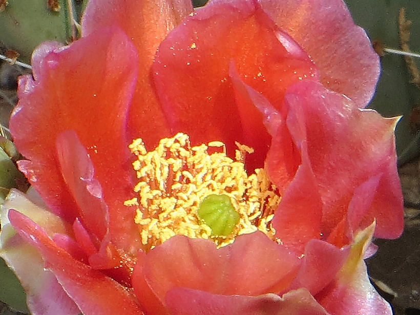820_IMG_3512b
