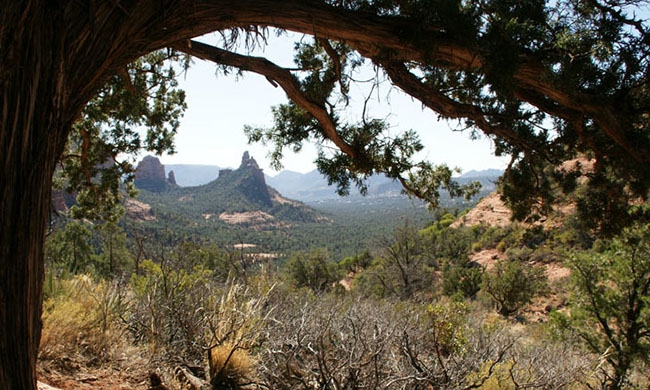 Soldier Pass Trail