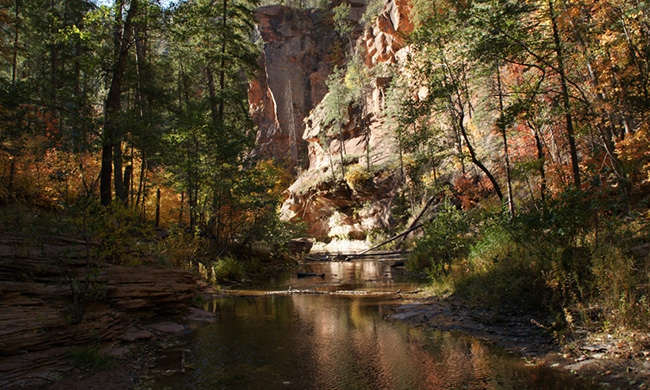 West Fork of Oak Creek Trail