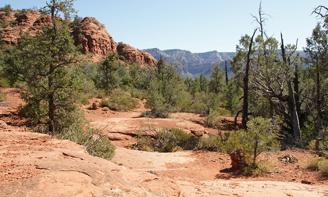 Jordan Trail Hiking East