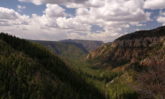 Oak Creek Canyon Overlook