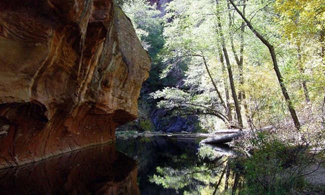  West Fork of Oak Creek Trail