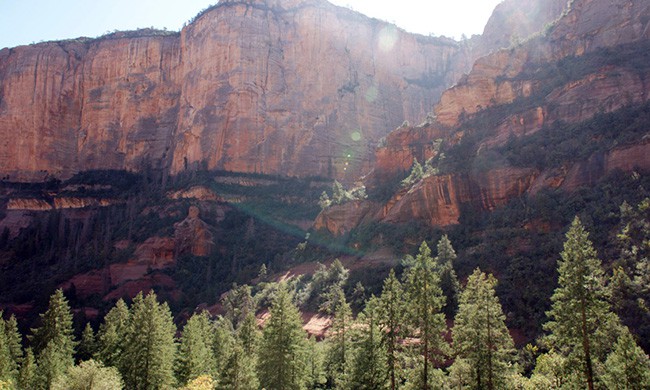Boynton Canyon Trail