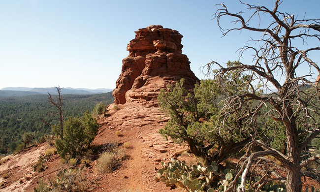 Boynton Canyon Vista