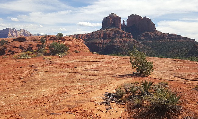 The Ridge Trail