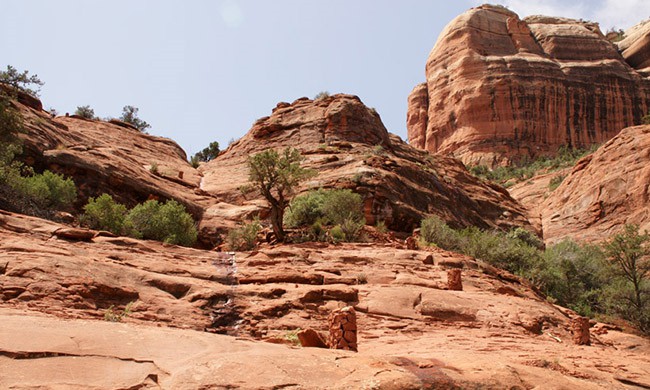 Cathedral Rock Trail
