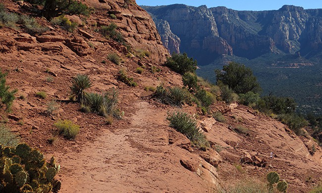 Coconino Loop Trail