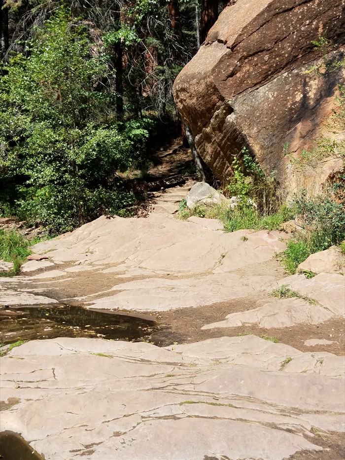 The continuation of the trail is to the right, on the same side of the stream. - West Fork of Oak Creek Trail