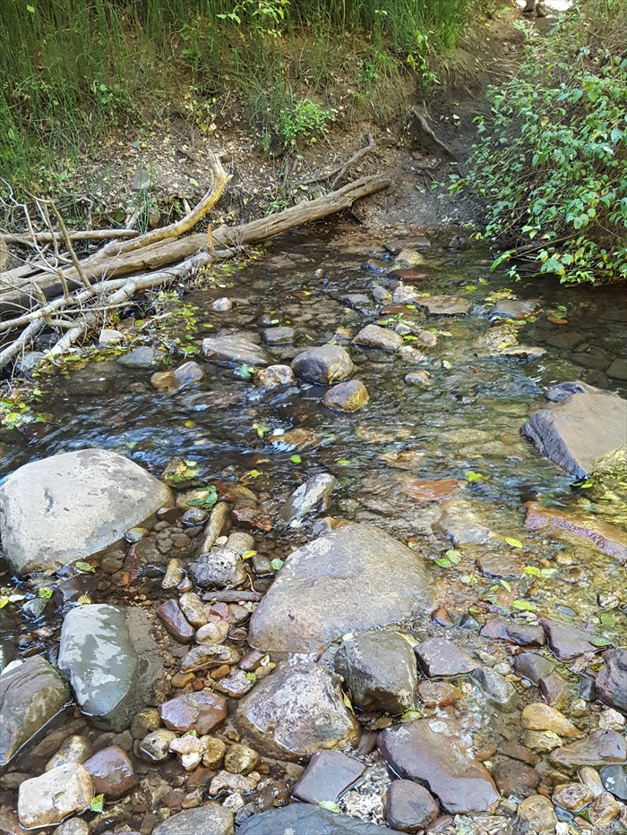 11th Stream Crossing - West Fork of Oak Creek Trail