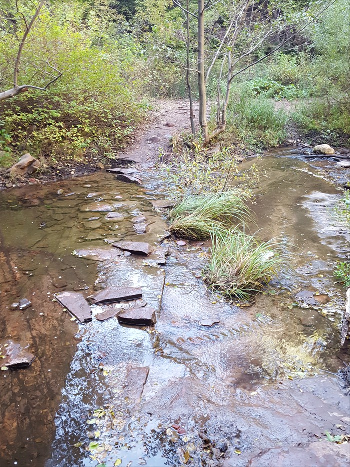 12th Stream Crossing - West Fork of Oak Creek Trail