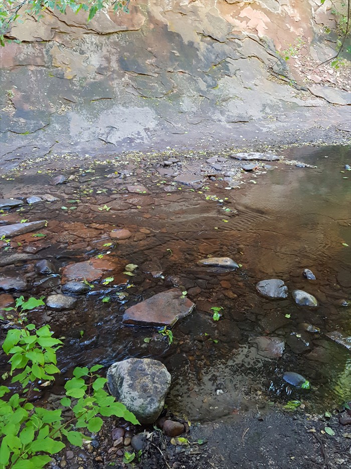 13th Stream Crossing - West Fork of Oak Creek Trail