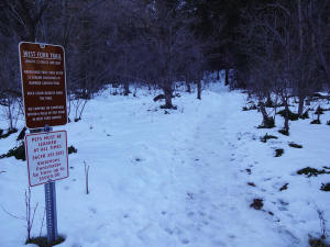 West Fork of Oak Creek Trail Head
