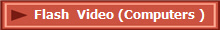 Flash  Video (Computers )
